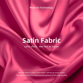 DGAZ Handbag Bag Organiser for Neverfull PM/MM/GM Bags, Silk Handbag Organiser Women, Luxury Handbags & Tote Inner Pockets (Framboise, GM)