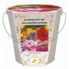 Marie Curie Planter Gift Set