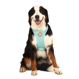 TOH Dog Mesh Harness Durable Stylish Design Puppy Harness with Adjustable Straps, Easy to Use Dog Harness Soft Perfect for Pets Training Outdoor Walking (Maresia, Small)