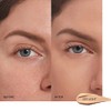 Shiseido Synchro Skin Self Refreshing Dual Tip Concealer #203 5,8