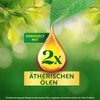 Air Wick Duftstecker Nachfüller DUO – Duft: Mediterrane Brise –