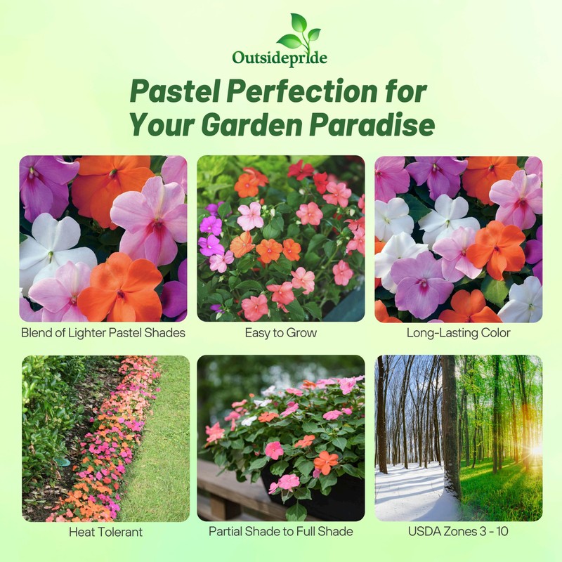 Outsidepride Xtreme Pastel Mix Impatiens Flower Seeds - 75 Pcs