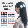 Ribbon Clip with Star Charm, Set of 2, Mint