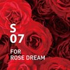 100% Pure Essential Oil Blend for Rose Dream - Supplement
