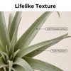 Artificial Plants & Greenery 2Pcs Faux Decor Set
