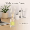 K. Hall Designs Lemon Sage Boxed Diffuser Kit, Citrus Scent