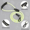 Colaseeme Light Up Dog Leash, 5FT LED Pet Leashes Micro