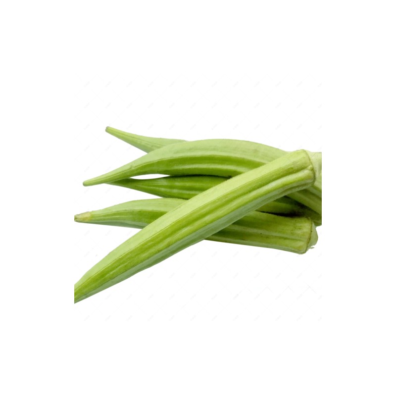 ATLAS Okra -Green Slim