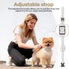 Jugbow Shock Collar for Small Dogs - 4200FT Dog Training