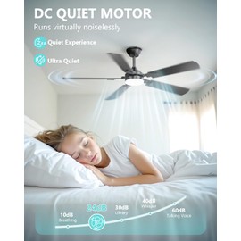 Crazypai Ceiling Fans with Lights, 52 Inch Modern Ceiling Fans with Lights and Remote Control, DC Reversible Motor, Noiseless, 3CCT, Ceiling Fan for Bedroom, Living Room, Apartment Indoor/Outdoor Use