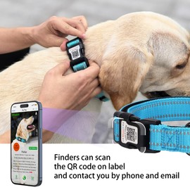 Dog Collar with QR Code, Reflective Dog Collar, Soft Neoprene Padded & Safety Locking Buckle Adjustable Pet Collar (Blue, XS-with Airtag Holder)