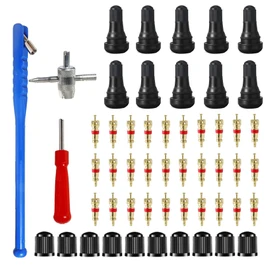 HUAZIZ 53 Pieces Tyre Valve Remover Tyre Repair Tool Set 30x Valve Core 10x Tyre Valve Caps 4-in-1 Repair Tool 1x Single Head Valve Remover 1x Valve Puller 10xTR413