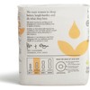 Attn: Grace Moderate Incontinence Pads for Women, 28-Pack - Plant-Based,