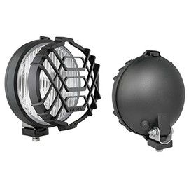 Fog Light with Protective Grille