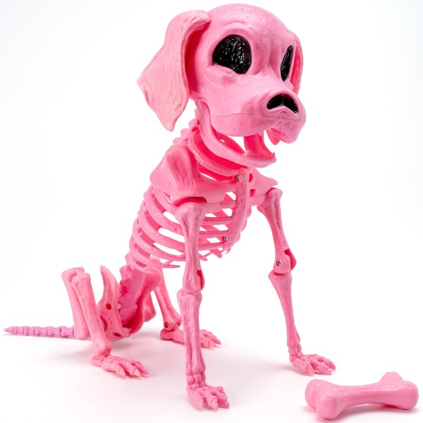 JOYIN Posable Halloween Dog Skeleton Full Body Posable Joints Skeleton