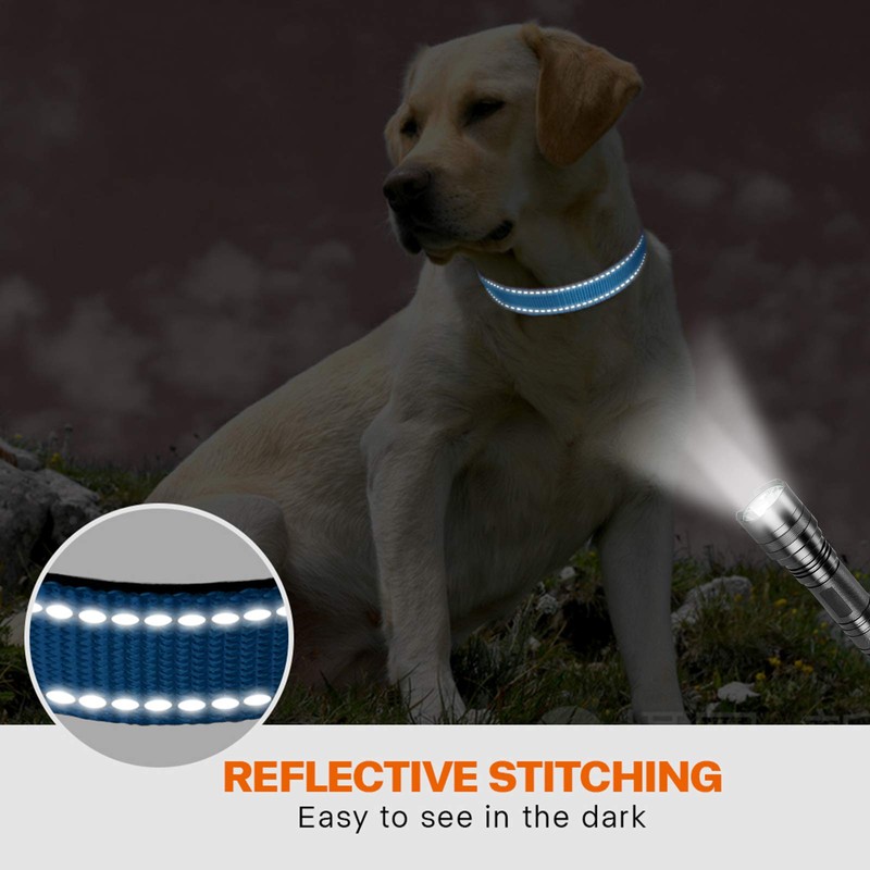 Taglory Reflective Dog Collar with Safety Locking Buckle, Adjustable Nylon