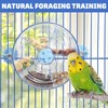 BNOSDM Bird Foraging Toy Creative Feeder Systems with Seed Food