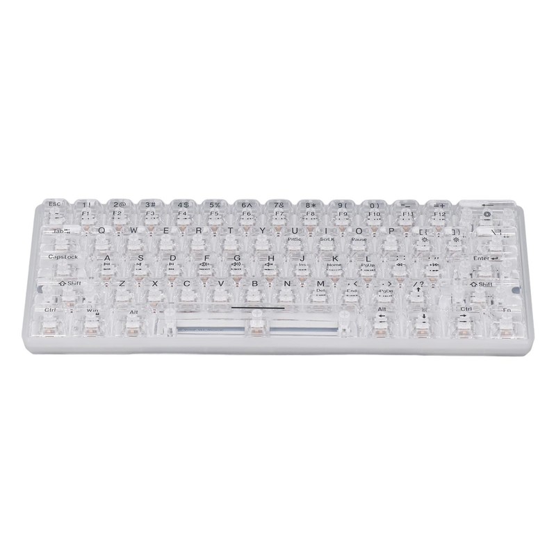 61 Keys Transparent Mechanical Keyboard Clear Keycap Wired Gaming Keyboard