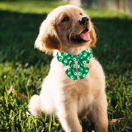 MACA Bates - Collar para perro del día de San Patricio con lazo/flor/pajarita, collar ajustable de trébol para perros pequeños, medianos y grandes con hebilla de metal