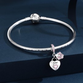 LNQOBU 925 Sterling Silver Birthstone Charms for Bracelets Heart Pendant, Birthday Gifts for Women, Mother's Day Gift, Sterling Silver, Cubic Zirconia