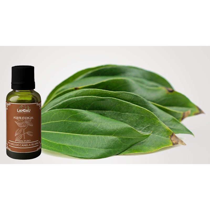 ACEITE ESENCIAL de HOJAS de CANELA BLANCA 30ML