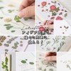 moin Moin 2204sl138 Seal, Pressed Flowers, Clear, Transparent, Random Set