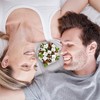 Chocolate Filled Candy - 1 Pound Bulk Bag - Arcor