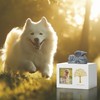 DiDiBirDi Pet Urn for Dog Ashes, Tree Pattern Wooden White