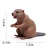2-Piece Realistic Beaver Figurines - Canada's National Animal, Solid Core,