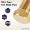 LTWFITTING Hex Plug Male Screw Size R (PT) 1/8 (Pack