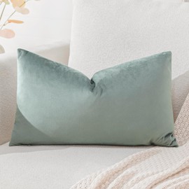 Artscope Velvet Cushion Cover Decorative Cushion Sofa Cushion Lumbar Cushion Throw Cushion Cover Sofa Bedroom 40 x 60 cm Light Grey