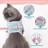 Eyein Cat Harness and Lead Set for Walking, Adjustable Soft