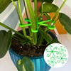 12 Pcs Plastic Climbing Plant Stem Support Houseplant Stem Climbers