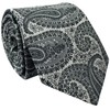 RETREEZ Paisley Art Microfiber Woven Men's Tie Necktie - Many