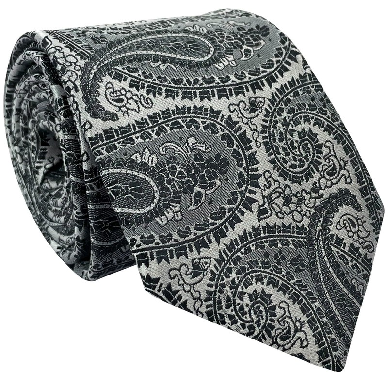 RETREEZ Paisley Art Microfiber Woven Men's Tie Necktie - Many