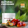 Maani Essence 100% Natural Unrefined Batana Hair Oil for Hair