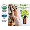 OLEUM VITAE Aceite Esencial de Limón. Citrus Limonum. 100% Puro