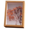 Deep Box Frames Shadow Box - 4X6 Picture Frames for