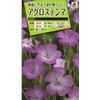 Takii Seedling Agrosten Magitago