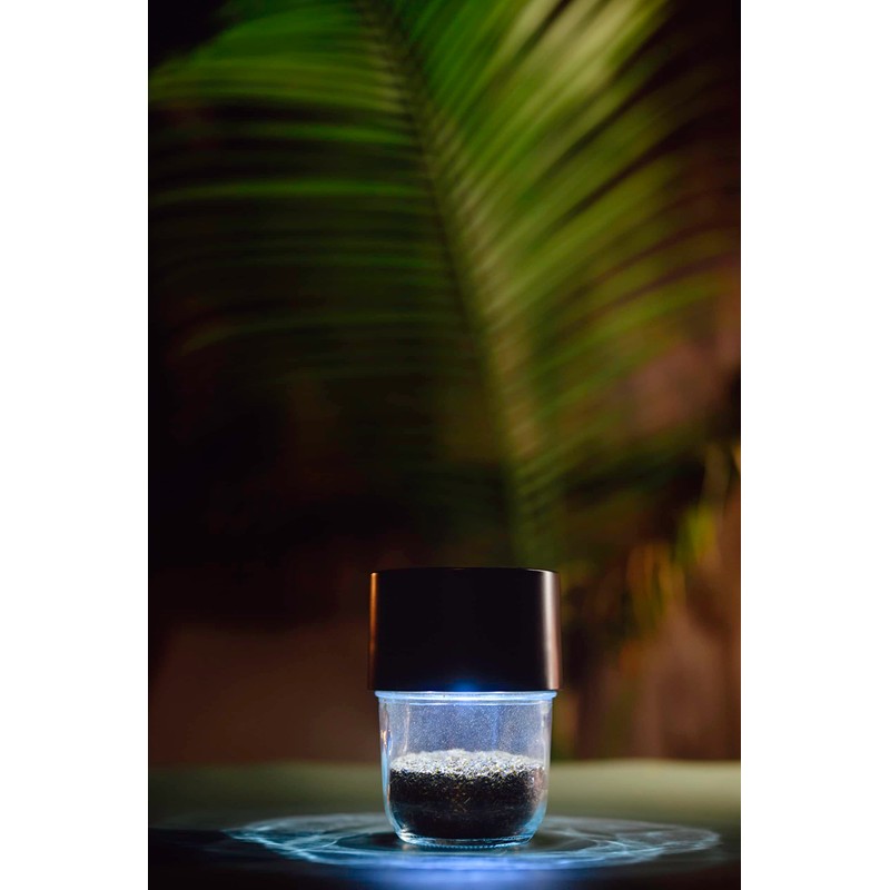 MasonBrite Stash Jar 8 Oz - Airtight Seal - Glass