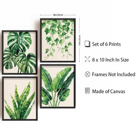 INFUNLY 6 PCS Botanical Plant Wall Art Prints Unframed Canvas Prints Wall Art Green Plant Leaves Art Wall Prints Boho Eucalyptus Leaf Wall Art for Living Room Bedroom Home Decor 9x11inches/23 * 28cm