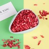 Diced Cranberries 1.76ozfreeze-dried cranberries Crushed Cranberries Dried Baked pastry ingredients