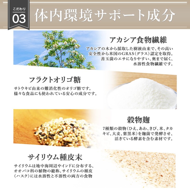 コンフォートスタイル フローラ 菌活 サプリ (30回分 60カプセル) 生菌 (乳酸菌 × ビフィズス菌