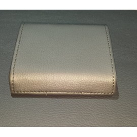 mypasscover.com I-Pass/EZ-Pass for RAM That's Identical to Your Dashboard.