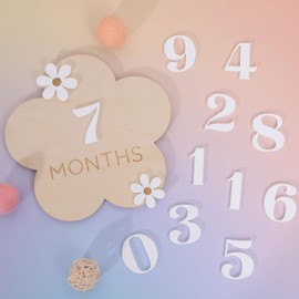 Daisy 1-12 Month Milestone Cards - Baby Monthly Growth Record Wooden Cards,Daisy Flower First Year Milestone Signs,Daisy Girl 1-12 Month Photo Props,Wooden Newborn Monthly Announcement Baby Showers