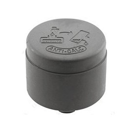 Rowenta CS-00098729 Cap and Gasket