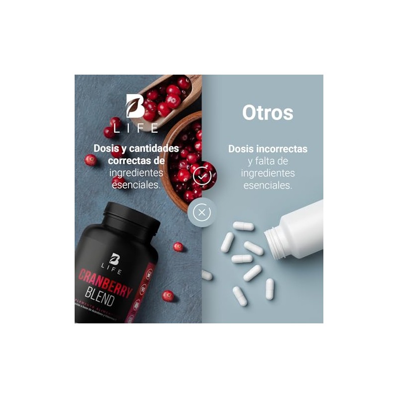 Arándano Concentrado 50:1 de 180 Cápsulas con Vitamina C. Ingredientes