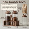 Glass Coffee Canister Set of 2 with Acacia Wood Lids
