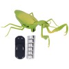 RC Mantis Children Simulated IR Remote Control Mantis Mischief Toy