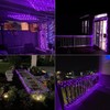 QITONG 2 Pack Purple Solar Fairy Lights Outdoor Waterproof, Each